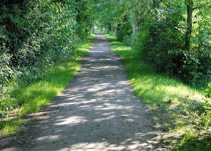 Hotell Brinkmeier 3*